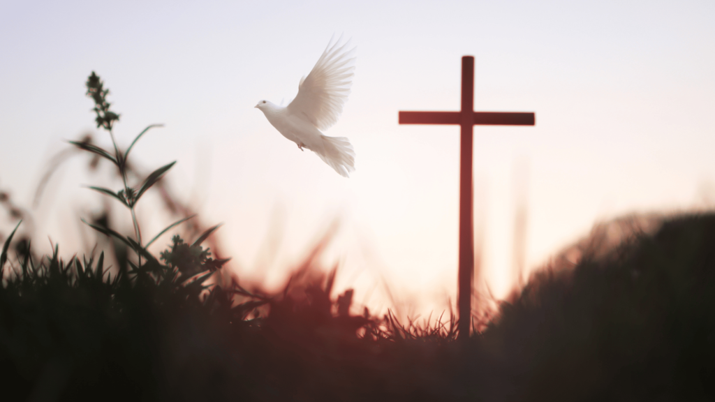 White dove flying near a cross at sunset.

